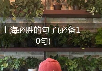 上海必胜的句子(必备10句)
