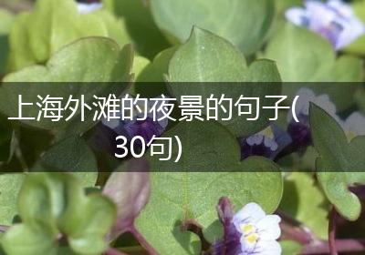 上海外滩的夜景的句子(30句)