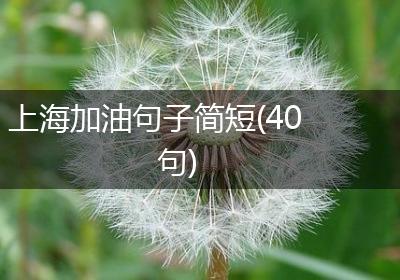 上海加油句子简短(40句)