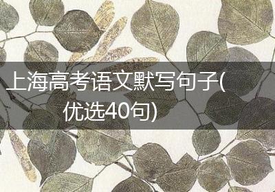 上海高考语文默写句子(优选40句)