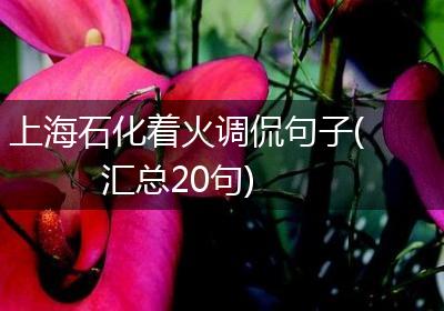 上海石化着火调侃句子(汇总20句)