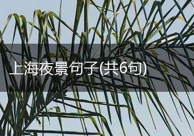 上海夜景句子(共6句)