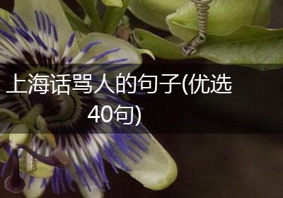 上海话骂人的句子(优选40句)