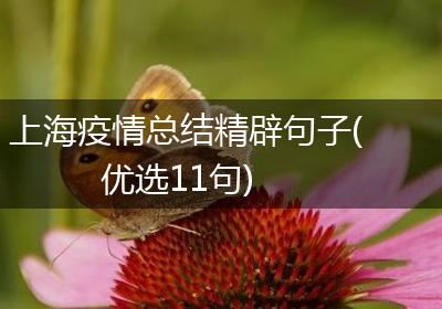 上海疫情总结精辟句子(优选11句)