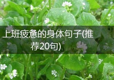 上班疲惫的身体句子(推荐20句)