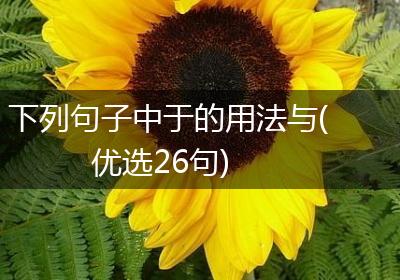 下列句子中于的用法与(优选26句)