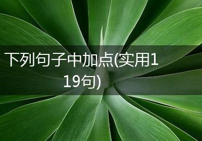 下列句子中加点(实用119句)