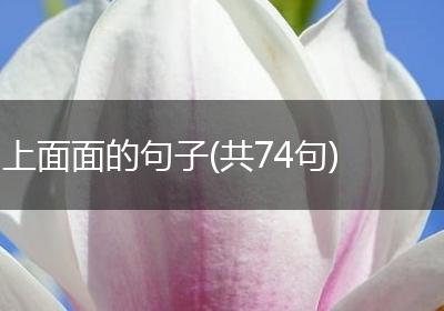 上面面的句子(共74句)