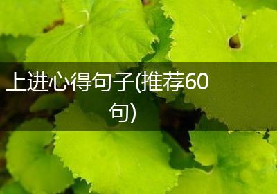 上进心得句子(推荐60句)