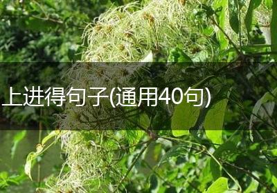 上进得句子(通用40句)