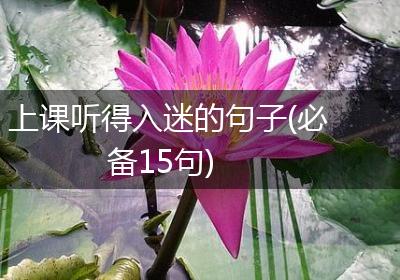 上课听得入迷的句子(必备15句)