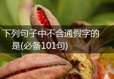 下列句子中不含通假字的是(必备101句)
