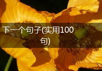 下一个句子(实用100句)