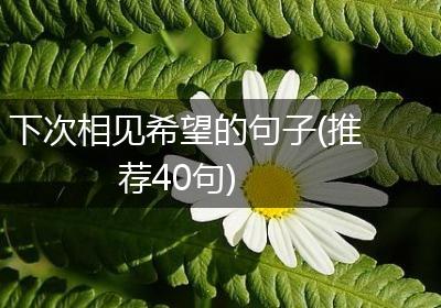 下次相见希望的句子(推荐40句)