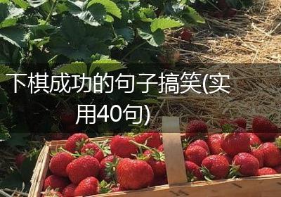 下棋成功的句子搞笑(实用40句)