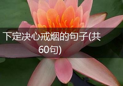 下定决心戒烟的句子(共60句)