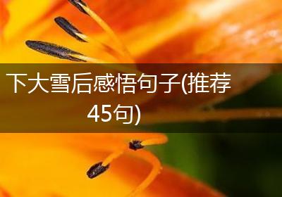 下大雪后感悟句子(推荐45句)