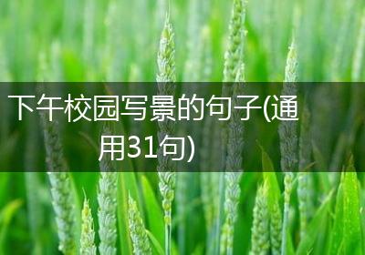 下午校园写景的句子(通用31句)