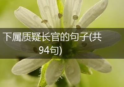 下属质疑长官的句子(共94句)