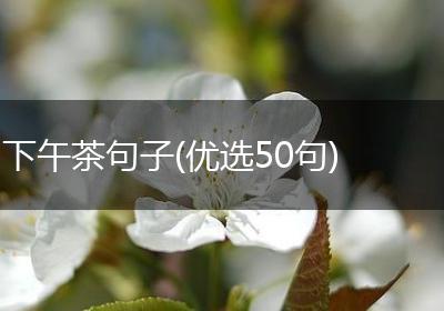 下午茶句子(优选50句)