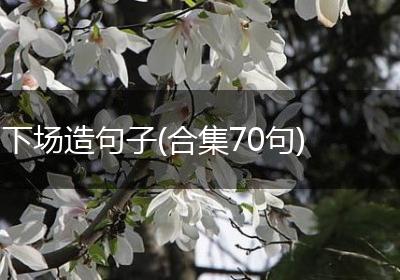 下场造句子(合集70句)