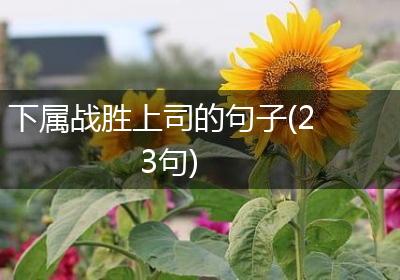 下属战胜上司的句子(23句)