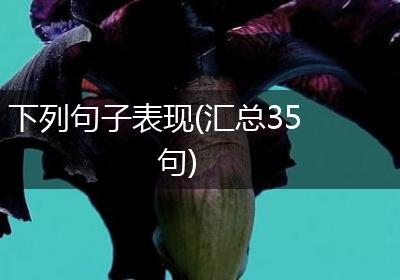 下列句子表现(汇总35句)