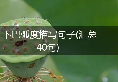 下巴弧度描写句子(汇总40句)