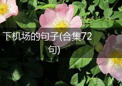 下机场的句子(合集72句)