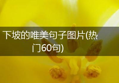 下坡的唯美句子图片(热门60句)