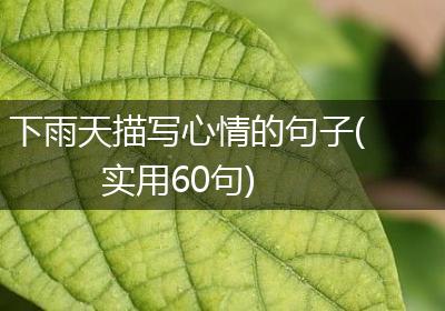 下雨天描写心情的句子(实用60句)