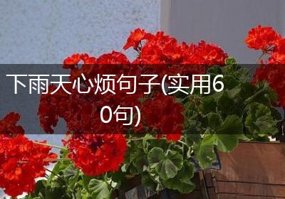 下雨天心烦句子(实用60句)