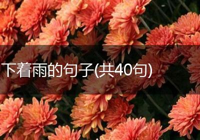下着雨的句子(共40句)