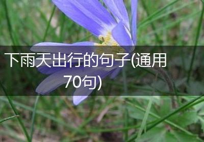 下雨天出行的句子(通用70句)