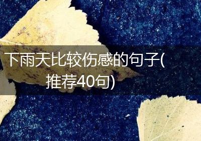 下雨天比较伤感的句子(推荐40句)