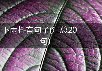 下雨抖音句子(汇总20句)