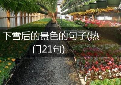 下雪后的景色的句子(热门21句)