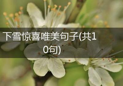 下雪惊喜唯美句子(共10句)