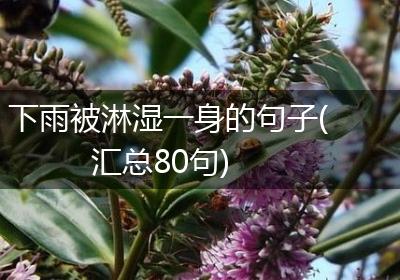 下雨被淋湿一身的句子(汇总80句)