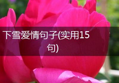 下雪爱情句子(实用15句)