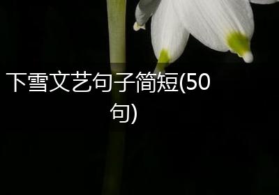 下雪文艺句子简短(50句)