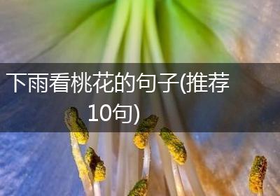 下雨看桃花的句子(推荐10句)
