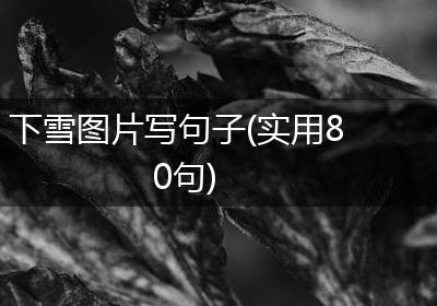 下雪图片写句子(实用80句)
