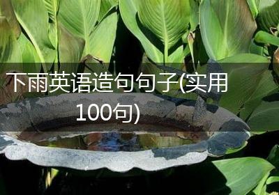 下雨英语造句句子(实用100句)