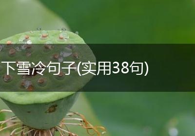 下雪冷句子(实用38句)