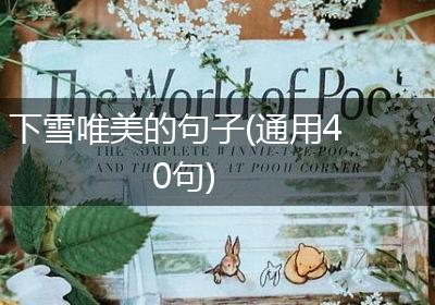 下雪唯美的句子(通用40句)