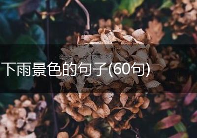 下雨景色的句子(60句)