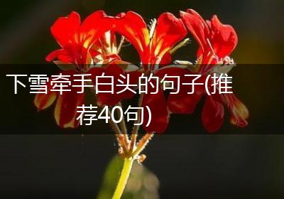 下雪牵手白头的句子(推荐40句)