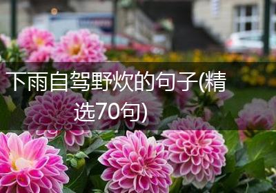下雨自驾野炊的句子(精选70句)