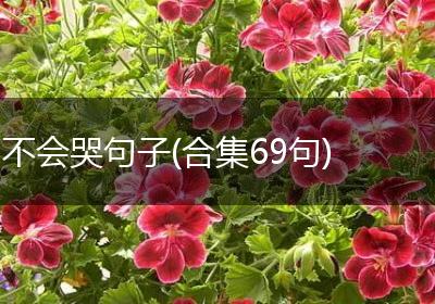 不会哭句子(合集69句)
